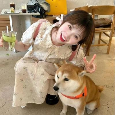 新琼森帮